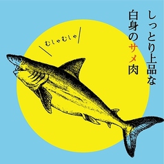 サメ/エイ