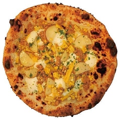 マイストンノ MAIS TONNO