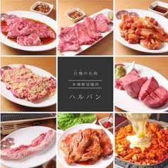 韓国本場焼肉 ハルバン 仙台国分町店の写真
