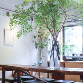 cafe えにしえの雰囲気2