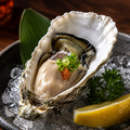 料理メニュー写真&nbsp;生牡蠣