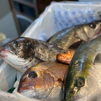 富山の旬の恵みが織りなす心躍る一皿をご提供いたします