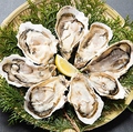料理メニュー写真&nbsp;【生牡蠣&焼き牡蠣&蒸し牡蠣が食べ放題】大満足！フィーバーセット4980円♪