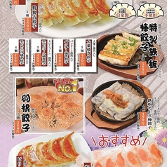 餃子酒場 吉のコース写真
