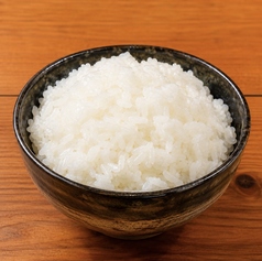 白ごはん