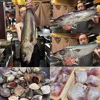 日替わりオススメ鮮魚！2025/12/23 今日のオススメ♪