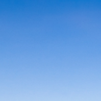 軽やか食感を追求した天ぷら◎