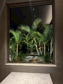 店内の大きな窓からは、ライトアップされた幻想的な亜熱帯植物が広がります！リゾート気分をさらに盛り上げてくれる、大人の隠れ家のようなお店です★