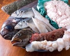 【鮮度抜群】旬の食材を仕入れております。