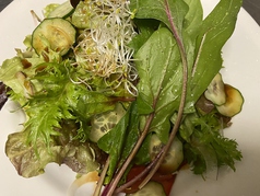10種野菜の健康サラダ