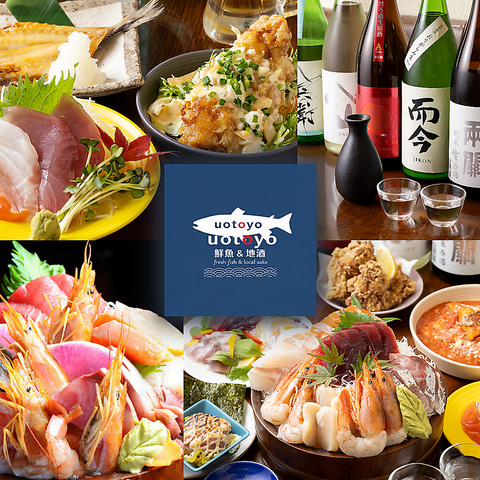 豊洲直送鮮魚と全国の地酒が楽しめる洋食バル◎飲放付宴会コース5,000円から