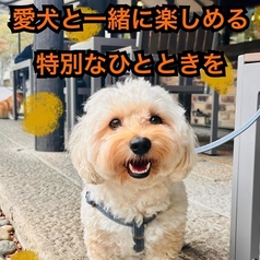 フィッシュ&チップス専門店 マレーコッド岡山店の雰囲気3