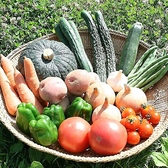 提携農家からの新鮮野菜を仕入れ　【北海道十勝郡浦幌町】水が澄んでいて美味しいところはやはり新鮮な鮮度の野菜が豊富に栽培されます。原産地より厳選した食材を仕入れております。豊富なミネラルを含んだ食材料理を是非ご賞味ください。