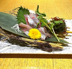 ≪旬の味覚≫マイワシの刺身