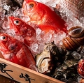 居酒屋 まつりや 横浜店のおすすめ料理1