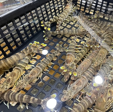 美食亭 遥のおすすめ料理1