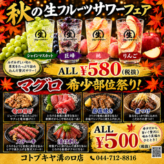 コトブキヤ 溝の口店の写真