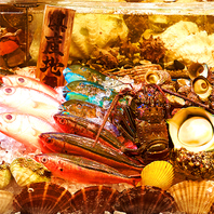 県内各漁港のセリ権を取得／毎日朝市直送新鮮魚介類入荷