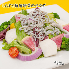 しらすと新鮮野菜のサラダ