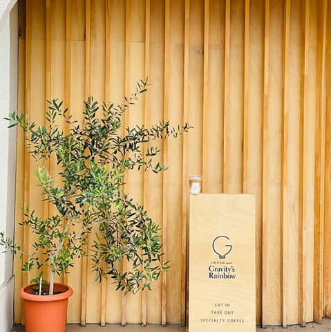 Gravity's Rainbow グラビティズレインボーの写真