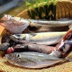 旬の魚をご用意しております