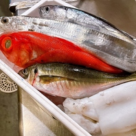 熟練の大将が一匹丸ごと仕入れた鮮魚の数々
