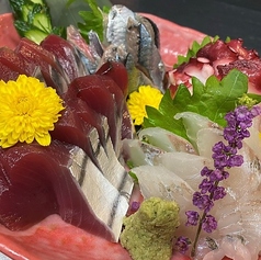 新鮮な魚介のお造りと呑兵衛も喜ぶ多彩な酒のあて