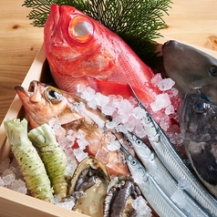 朝締めの海鮮は新鮮で脂の乗りも完璧です