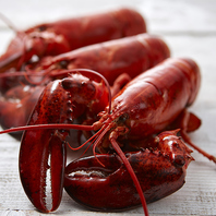 鮮度にこだわり！ロブスタータンクで徹底品質管理