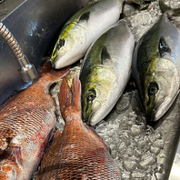 魚のプロが自信を持って勧める地魚