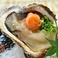 【夏のおすすめ】岩牡蠣　（生又は蒸し）