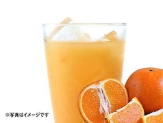鹿児島たんかんサワー