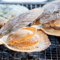 料理メニュー写真&nbsp;殻付きホタテ