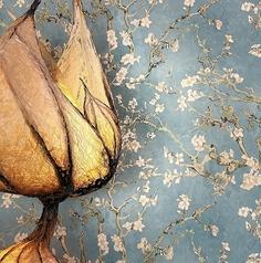 Kottee コッティーの写真