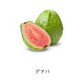 料理メニュー写真&nbsp;【フルーツ系】グアバ
