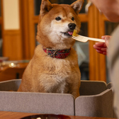 Restaurant 諏訪坂の雰囲気2