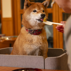 Restaurant 諏訪坂の雰囲気2