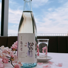 松の司　純米酒　亀の尾（春限定酒）