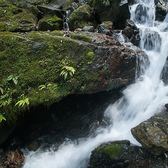 《自然の力》広大で豊かな自然の中で伸び伸びと育ったうなぎを稚魚から養殖。その川の水を養鰻池へ流し込み、より天然に近い状態で養鰻。