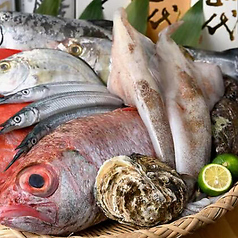 カミヤ酒場の写真2