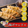料理メニュー写真&nbsp;揚げマンドゥ