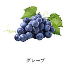 【フルーツ系】グレープ