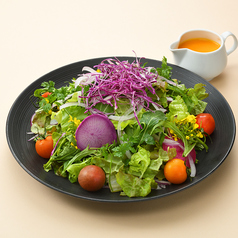 【ディナー限定】県産野菜の彩りサラダ　Rサイズ