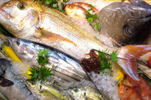 平戸・五島・長崎で獲れる地魚が食べられるお店のイメージ写真