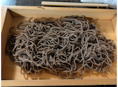 三鴨庵 本八幡本店: まこりーんさんの2026年05月11日の1枚目の投稿写真
