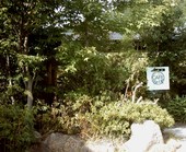 カフェYORK: スタットさんの2009年09月09日の2枚目の投稿写真