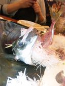 魚金 本店: さくらさんの2011年04月24日の2枚目の投稿写真