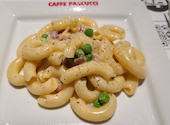 CAFFE PASCUCCI カフェパスクッチ 三宮店: saeさんの2026年01月29日の1枚目の投稿写真