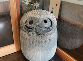 旬菜厨房 和楽 県央店: tai-youさんの2026年09月02日の3枚目の投稿写真
