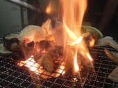 腸うまいホルモン魂 じゃんごー: トムさんの2009年11月04日の1枚目の投稿写真